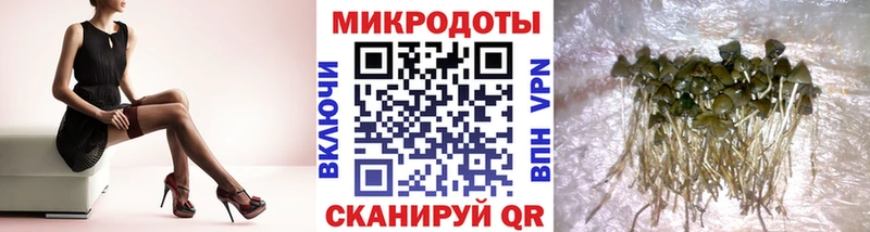 Галлюциногенные грибы Cubensis  купить  цена  kraken как зайти  Кингисепп 
